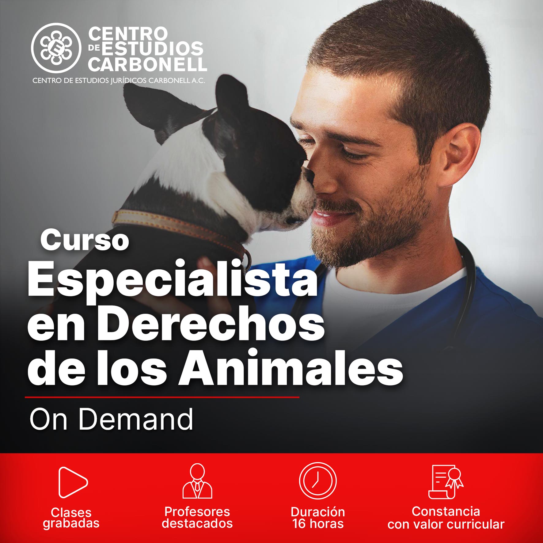 Imagen promocional del curso 'Derechos de la naturaleza y sujetos no humanos', mostrando manos sosteniendo una esfera verde con símbolos relacionados con el medio ambiente y la justicia.
