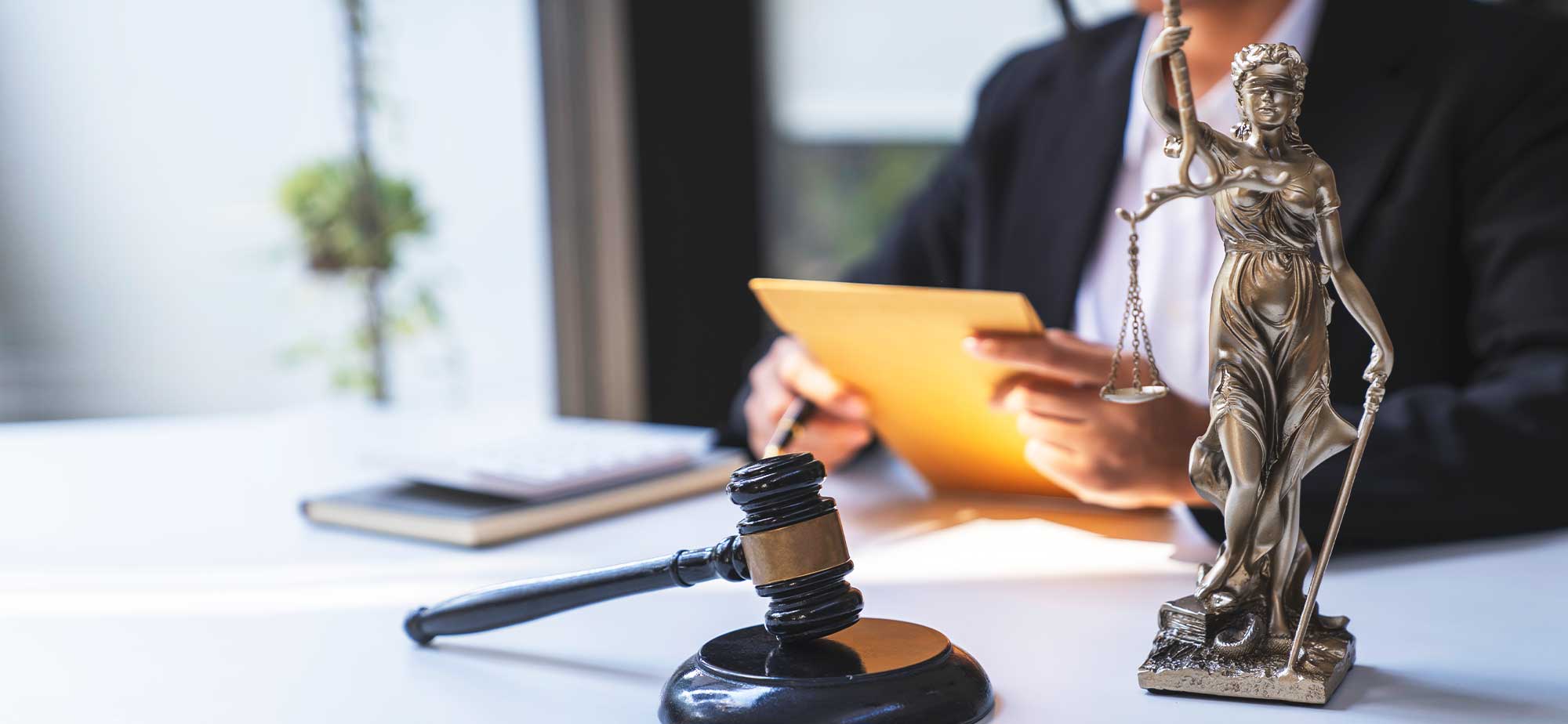 ¿Qué es la carga de la prueba?